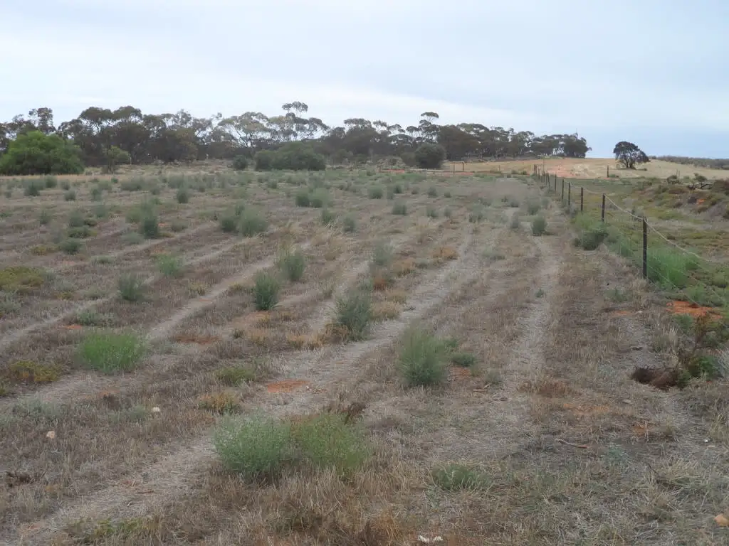 Main view of Homely rural property listing, Address available on request