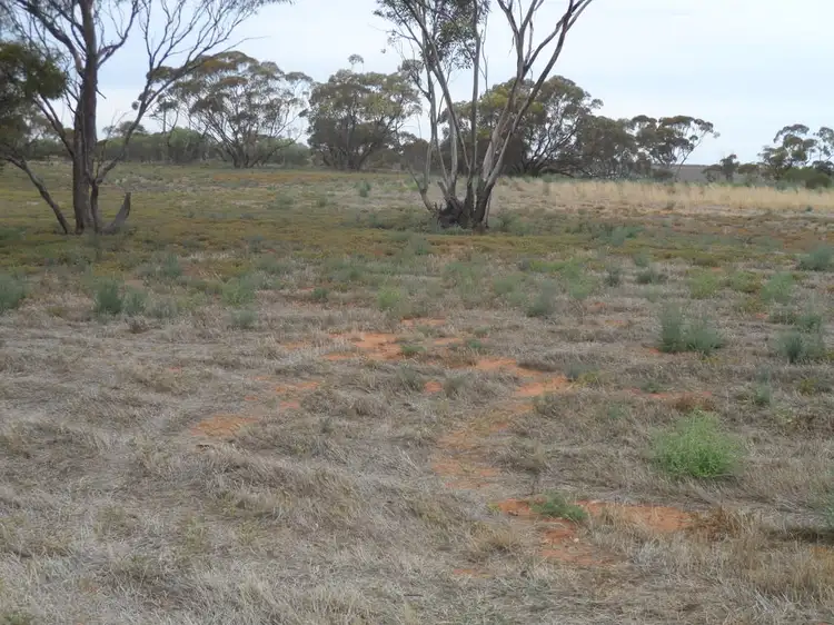 Second view of Homely rural property listing, Address available on request