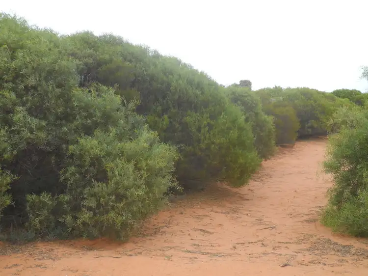 Third view of Homely rural property listing, Address available on request