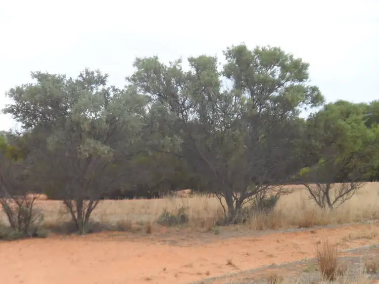 Fourth view of Homely rural property listing, Address available on request