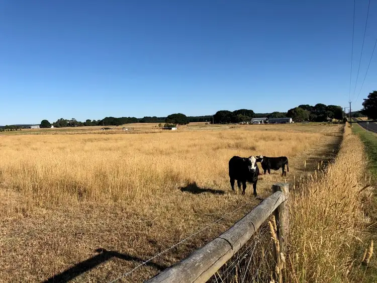 Second view of Homely rural property listing, Lot 2 Lake Edward Road, Glencoe SA 5291