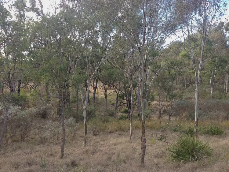 Fourth view of Homely rural property listing, Lot 8 Richards Road, Maryvale QLD 4370