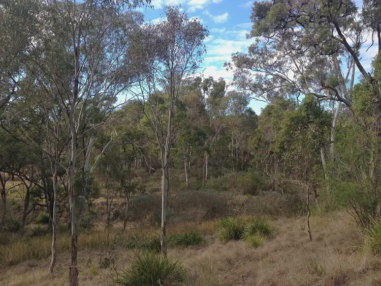 Fifth view of Homely rural property listing, Lot 8 Richards Road, Maryvale QLD 4370