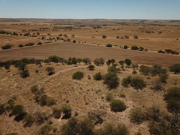 Third view of Homely rural property listing, Lot 8 Harvey Road, Northampton WA 6535