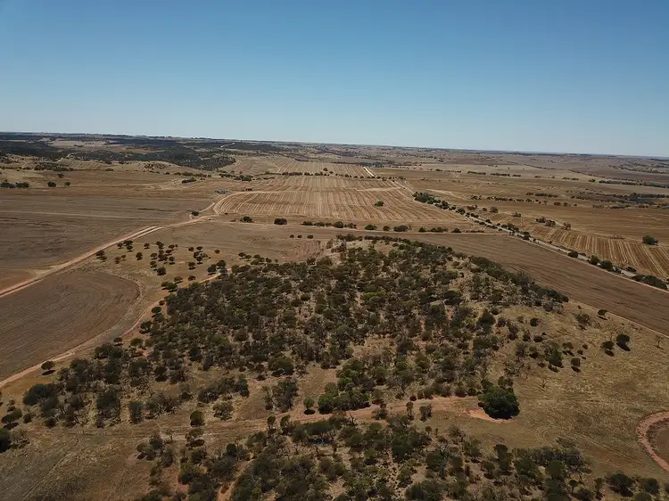 Fourth view of Homely rural property listing, Lot 8 Harvey Road, Northampton WA 6535