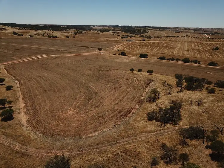 Sixth view of Homely rural property listing, Lot 8 Harvey Road, Northampton WA 6535
