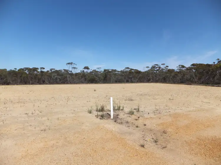 Third view of Homely land listing, 6 Collins Street, Jerramungup WA 6337