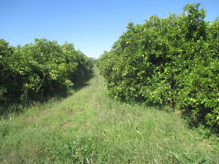 Second view of Homely rural property listing, 128 South Bokara Road, Mypolonga SA 5254