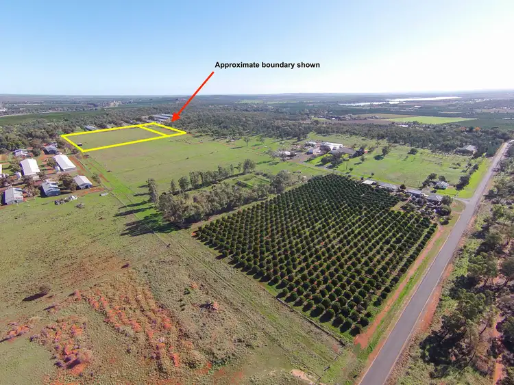 Lot 956 & 1424 Hayes Lane, Griffith NSW 2680