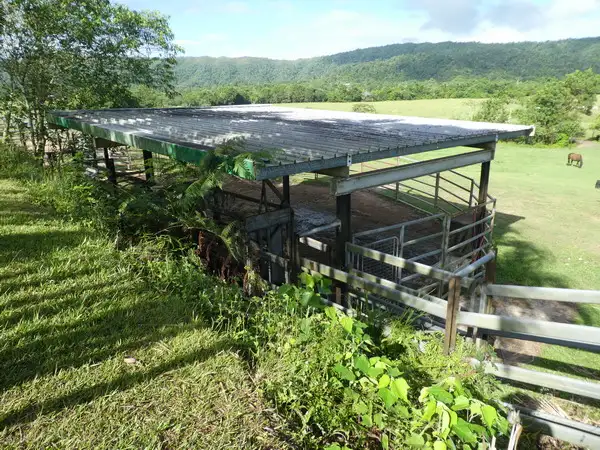 Sixth view of Homely rural property listing, Address available on request