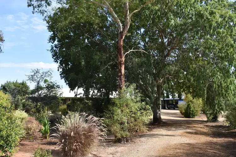 252 Cucumunga Street, Renmark SA 5341