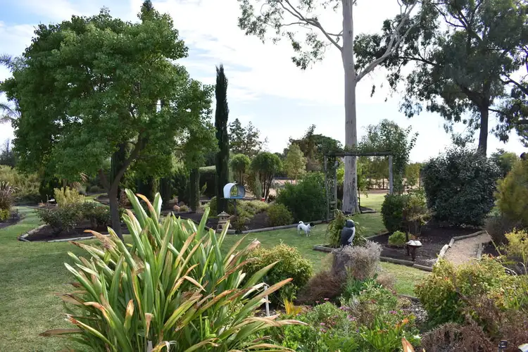 Sixth view of Homely house listing, 252 Cucumunga Street, Renmark SA 5341