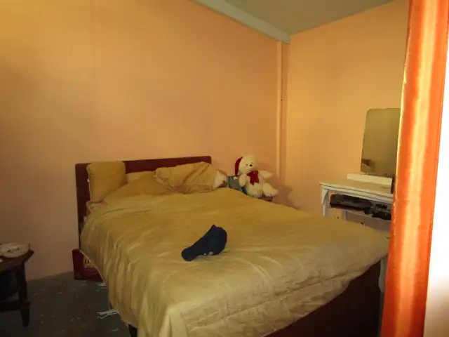 Seventh view of Homely rural property listing, 743 TARA KOGAN ROAD, Tara QLD 4421