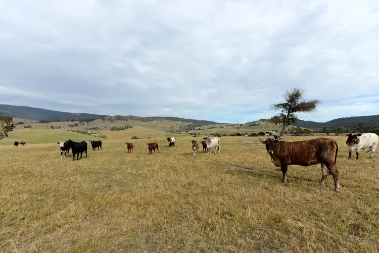 Fifth view of Homely rural property listing, 173 Rhyndaston Road, Colebrook TAS 7027