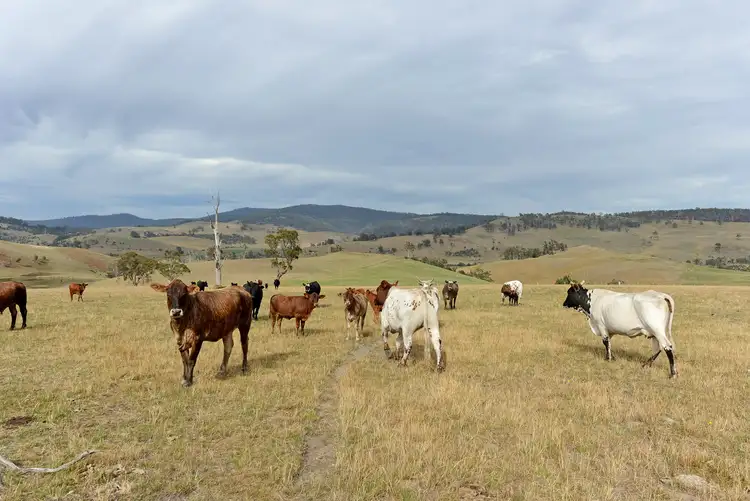 Sixth view of Homely rural property listing, 173 Rhyndaston Road, Colebrook TAS 7027