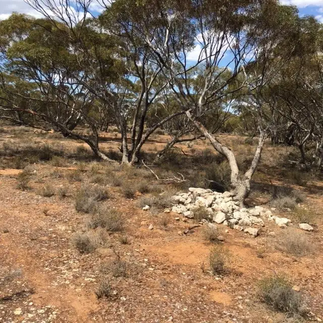 Fifth view of Homely land listing, Lot 262 Mount Mary Road, Steinfeld SA 5356