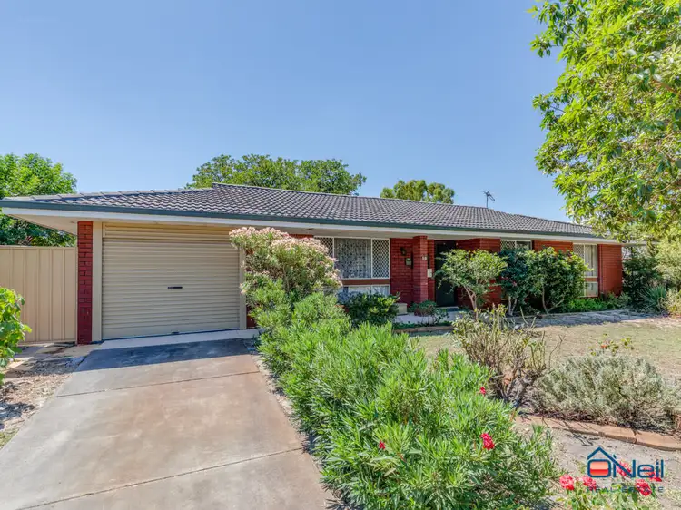 Fourth view of Homely house listing, 19 Merrifield Avenue, Kelmscott WA 6111