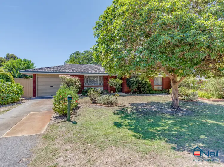 Fifth view of Homely house listing, 19 Merrifield Avenue, Kelmscott WA 6111