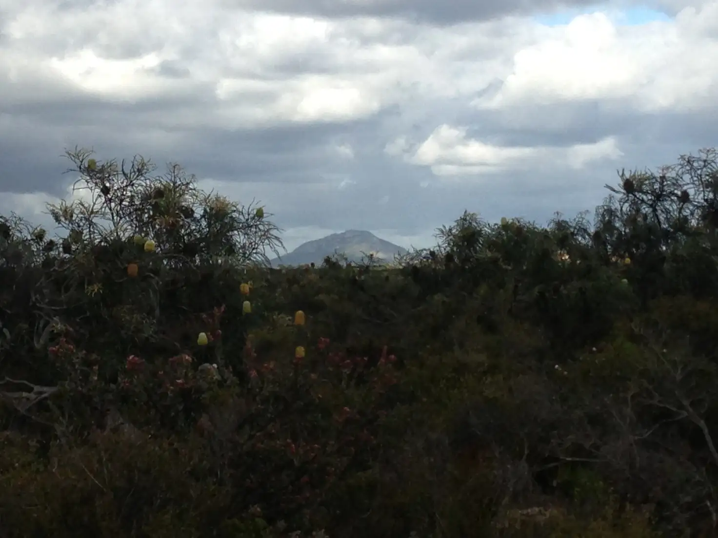 Main view of Homely land listing, 25 Carnaby Close, Hopetoun WA 6348