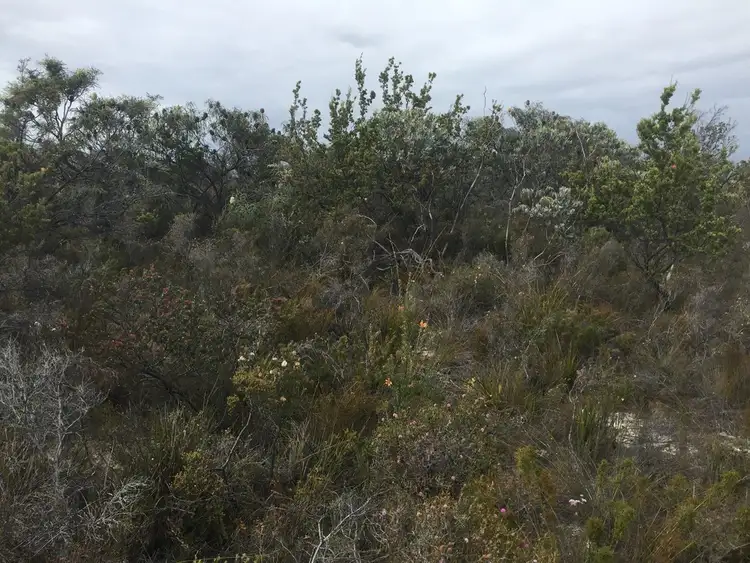 Second view of Homely land listing, 25 Carnaby Close, Hopetoun WA 6348