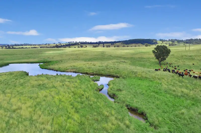 Main view of Homely rural property listing, YONDA 501 Hectares - 1238 Acres 1822 Old Armidale Road, Guyra NSW 2365