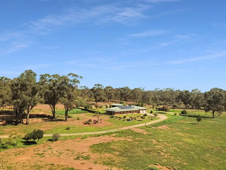 94 Moroney's Lane, Temora NSW 2666
