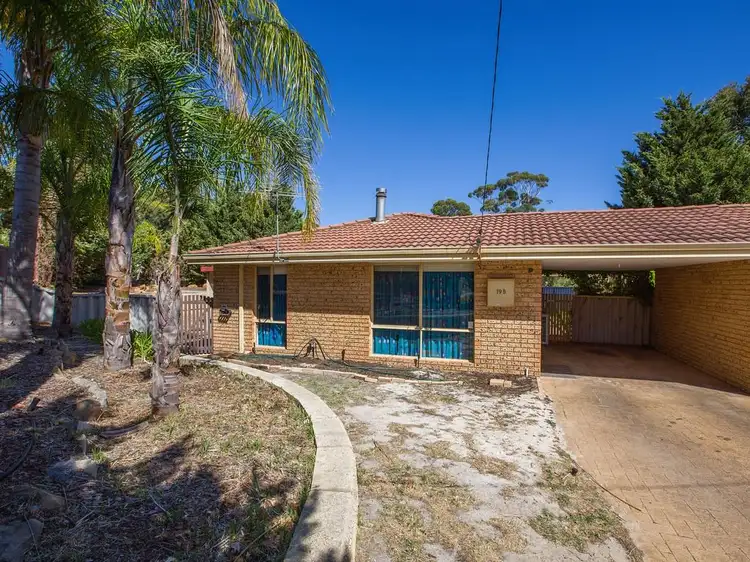 Main view of Homely house listing, 19B Conifer Court, Collie WA 6225