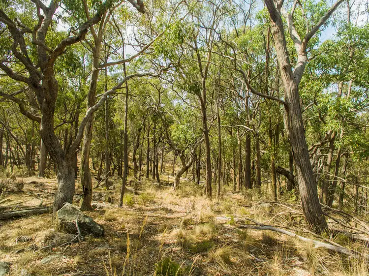 Seventh view of Homely rural property listing, Address available on request