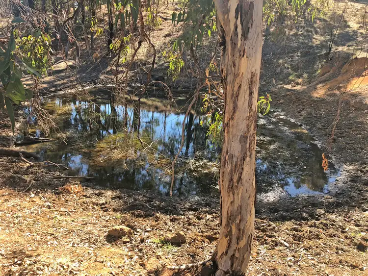 Seventh view of Homely rural property listing, 90 Reides Road, North Dandalup WA 6207