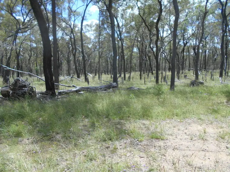 Fifth view of Homely land listing, 238 College Green Road, Sandy Camp QLD 4361