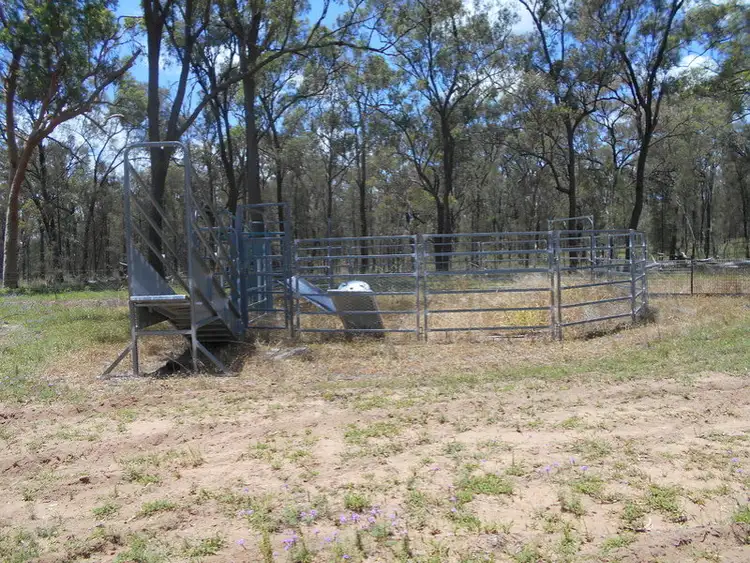 Seventh view of Homely land listing, 238 College Green Road, Sandy Camp QLD 4361