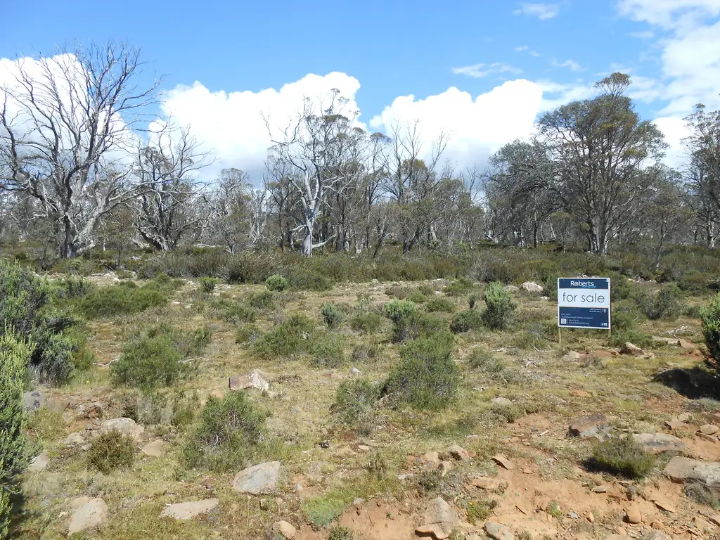 Main view of Homely land listing, 161 Barren Plains Road, Miena TAS 7030