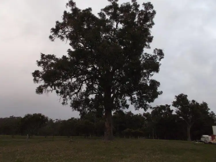 Sixth view of Homely rural property listing, LOT 3 Perup Road, Manjimup WA 6258