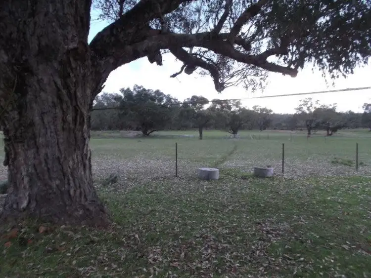 Seventh view of Homely rural property listing, LOT 3 Perup Road, Manjimup WA 6258
