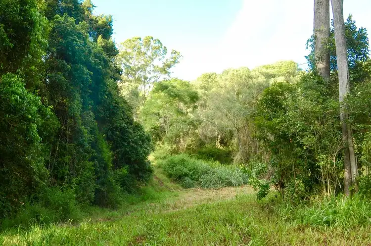 Seventh view of Homely land listing, 259 Moy Pocket Road, Brooloo QLD 4570