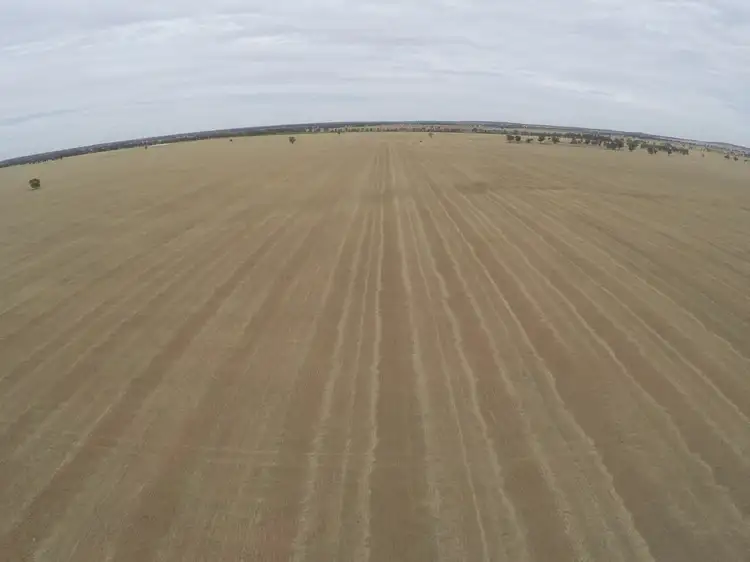 - Rosewood, West Wyalong NSW 2671