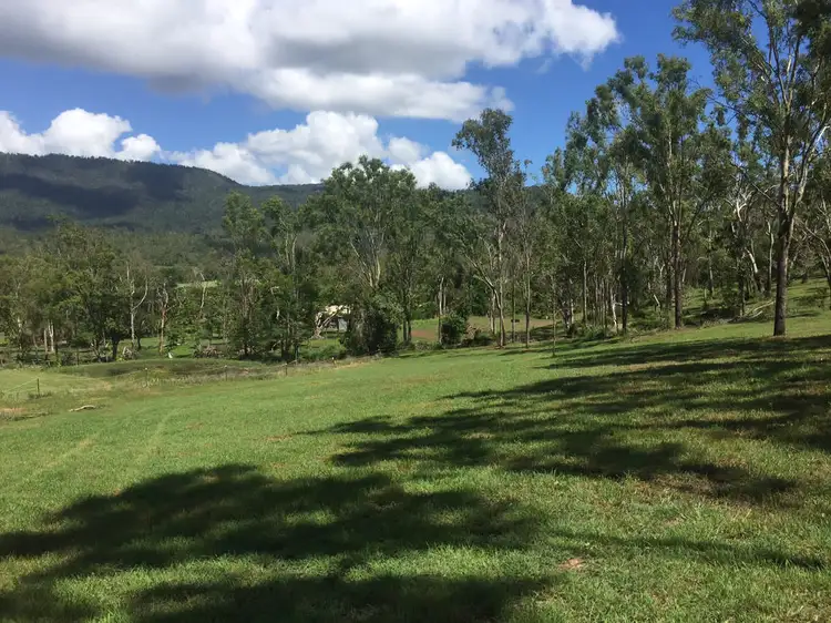 Lot 1021 Black Road, Riordanvale QLD 4800