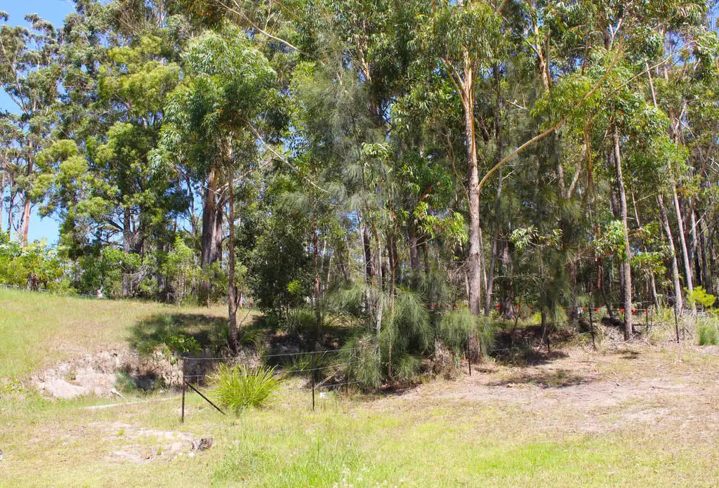 Main view of Homely land listing, 10 Blake Place, Narrawallee NSW 2539
