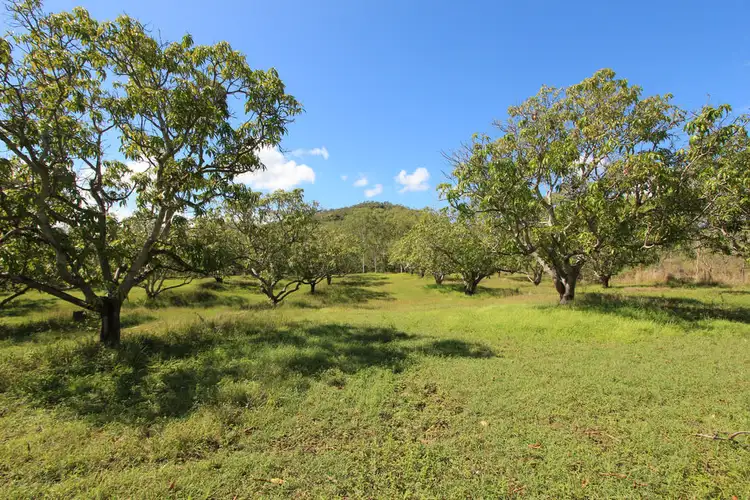 Fifth view of Homely rural property listing, 7 Olivia Court, Alligator Creek QLD 4816