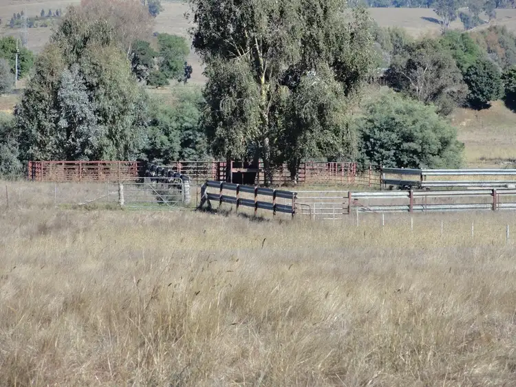 Seventh view of Homely rural property listing, 59 Smiths Lane, Mudgegonga VIC 3737