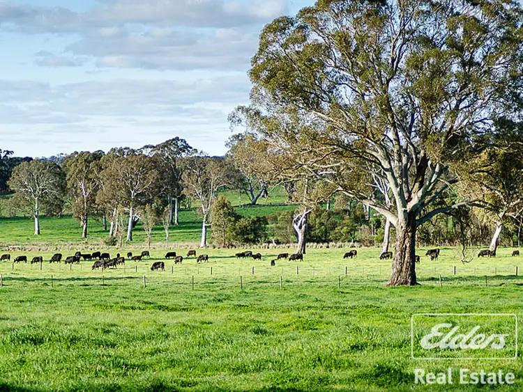 Fifth view of Homely rural property listing, 146 B Ken Hicks Road, Mount Pleasant SA 5235