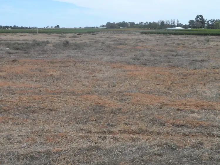 Lot 17 Anderson Road, Loxton SA 5333