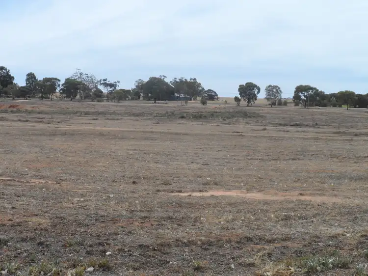 Second view of Homely rural property listing, Lot 17 Anderson Road, Loxton SA 5333
