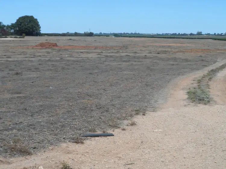Fourth view of Homely rural property listing, Lot 17 Anderson Road, Loxton SA 5333