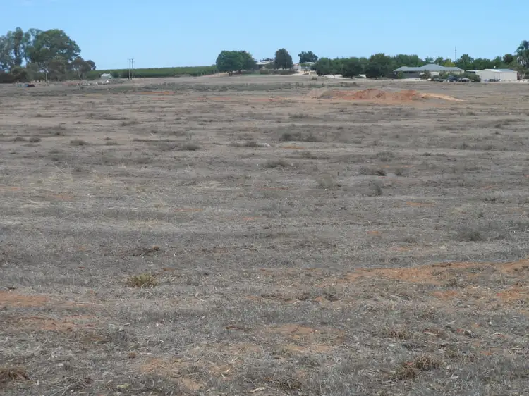 Fifth view of Homely rural property listing, Lot 17 Anderson Road, Loxton SA 5333
