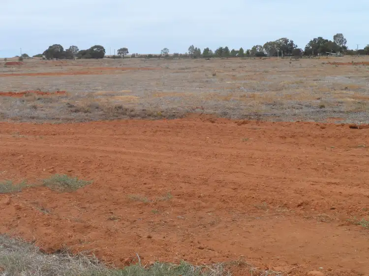 Sixth view of Homely rural property listing, Lot 17 Anderson Road, Loxton SA 5333