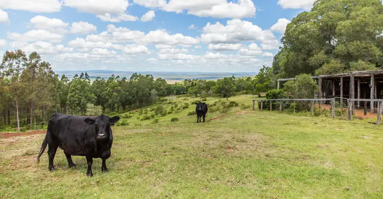 Fifth view of Homely rural property listing, 45 Millers road, Kingaroy QLD 4610