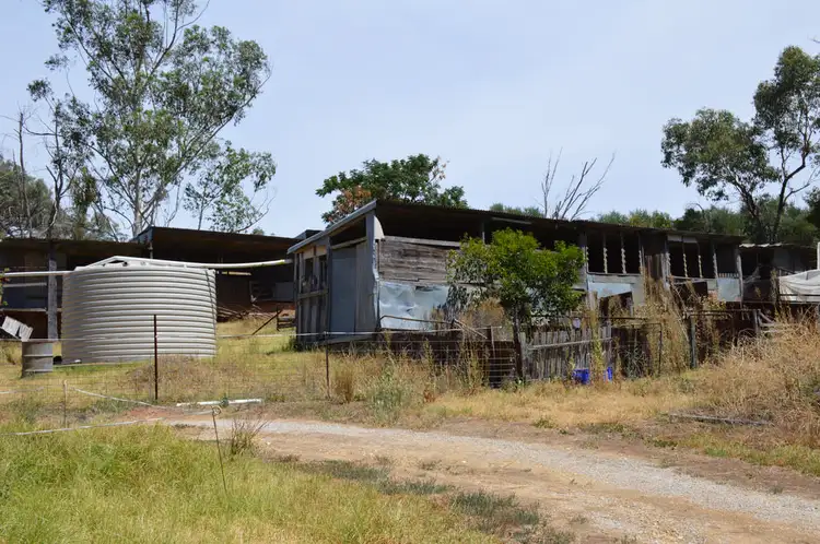 Fifth view of Homely rural property listing, 1102 Castlereagh Highway, Mudgee NSW 2850