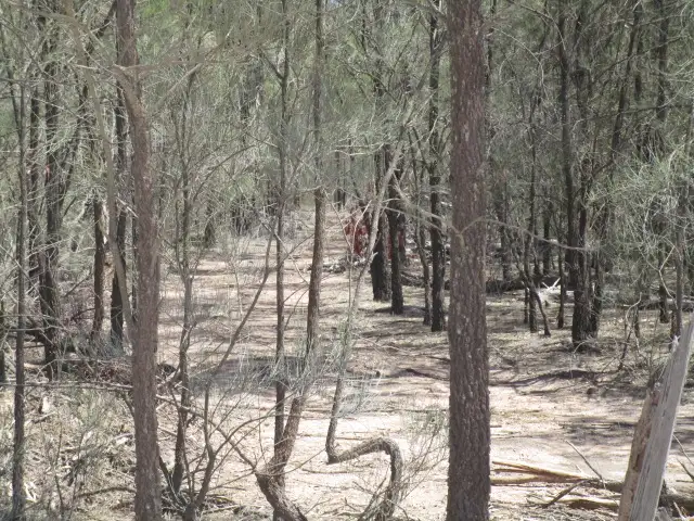 Seventh view of Homely rural property listing, LOT 4 TREASURES ROAD, Tara QLD 4421