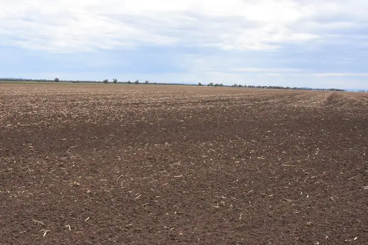 Third view of Homely rural property listing, 'East Karinya'  Wool Rd, Mullaley NSW 2379